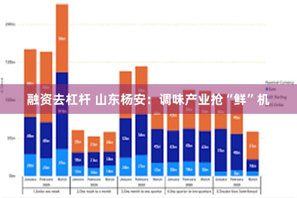 融资去杠杆 山东杨安：调味产业抢“鲜”机