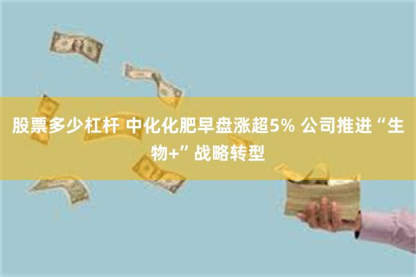 股票多少杠杆 中化化肥早盘涨超5% 公司推进“生物+”战略转型