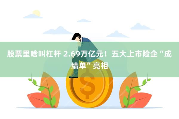 股票里啥叫杠杆 2.69万亿元！五大上市险企“成绩单”亮相