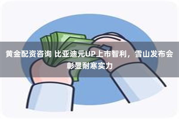 黄金配资咨询 比亚迪元UP上市智利，雪山发布会彰显耐寒实力