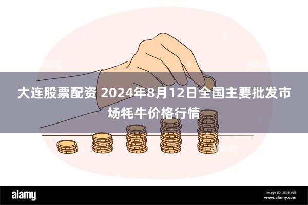 大连股票配资 2024年8月12日全国主要批发市场牦牛价格行情