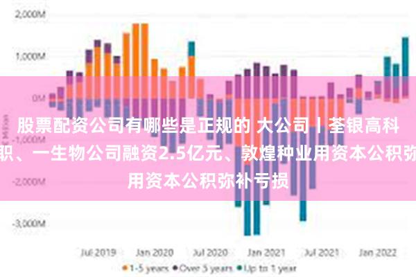 股票配资公司有哪些是正规的 大公司丨荃银高科高管辞职、一生物公司融资2.5亿元、敦煌种业用资本公积弥补亏损