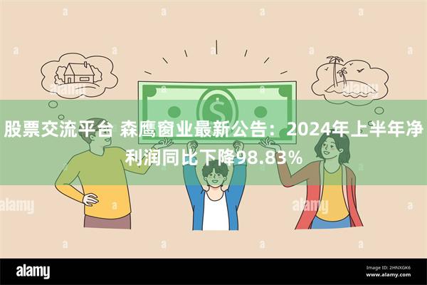 股票交流平台 森鹰窗业最新公告：2024年上半年净利润同比下降98.83%