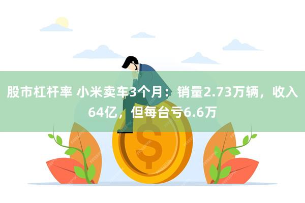 股市杠杆率 小米卖车3个月：销量2.73万辆，收入64亿，但每台亏6.6万