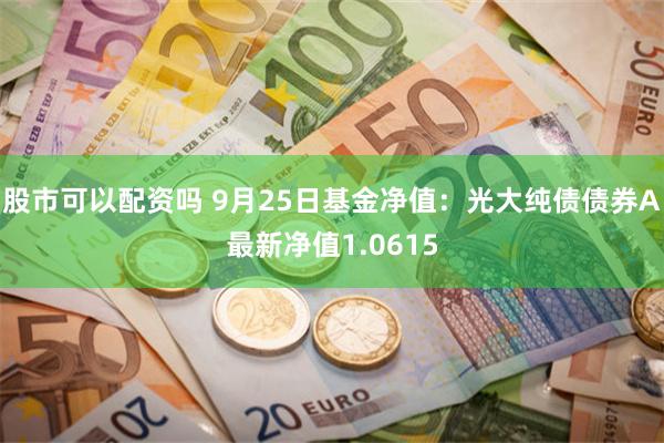 股市可以配资吗 9月25日基金净值：光大纯债债券A最新净值1.0615