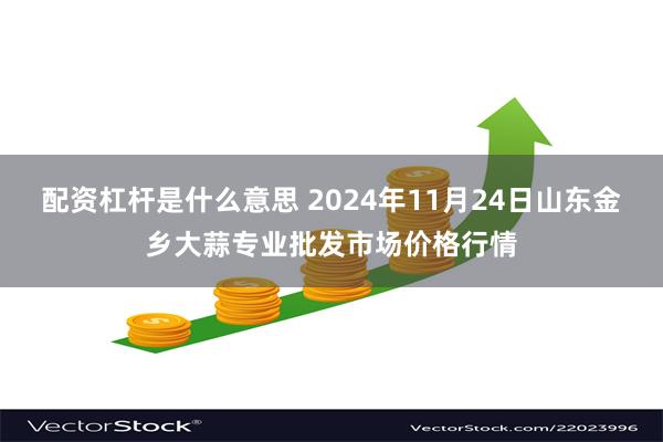 配资杠杆是什么意思 2024年11月24日山东金乡大蒜专业批发市场价格行情